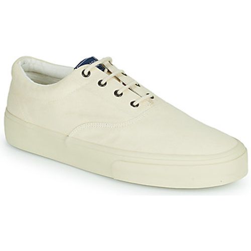 Sebago Sneaker JOHN SUEDE - Sebago - Modalova