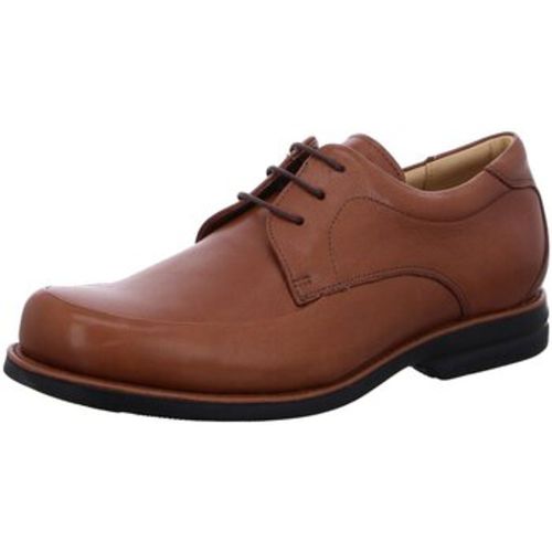 Halbschuhe Schnuerschuhe New Recife 454527 Cedar - Anatomic & Co - Modalova