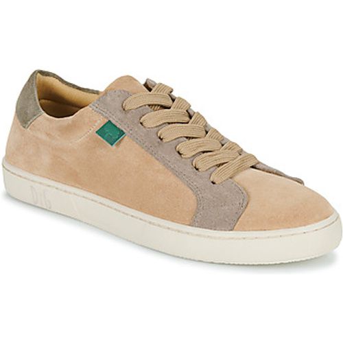 Dream in Green Sneaker ACANTHE - Dream in Green - Modalova