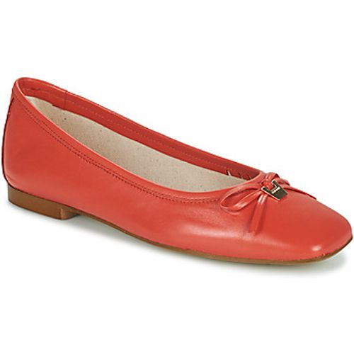 JB Martin Ballerinas VIRTUOSE - JB Martin - Modalova