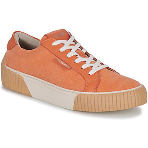 Fericelli Sneaker FEERIQUE - Fericelli - Modalova