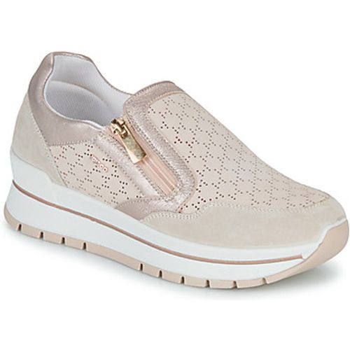 IgI&CO Sneaker DONNA ANISIA - IGI&Co - Modalova