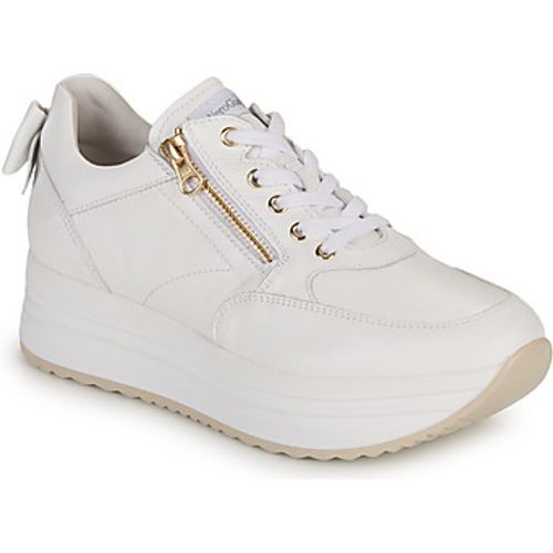 NeroGiardini Sneaker E306371D-707 - NeroGiardini - Modalova