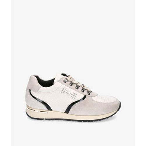 Sneaker LETO - 10833-SW34 - Stephen Allen - Modalova