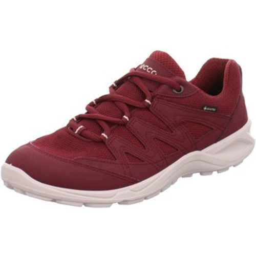 Halbschuhe Schnuerschuhe TERRACRUISE LT W 825783/59223 - ECCO - Modalova