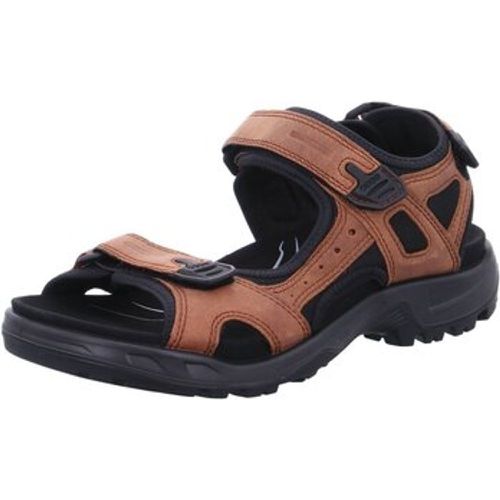 Herrenschuhe Offene Offroad Plus Sandale sierra 822184 82218402671 - ECCO - Modalova