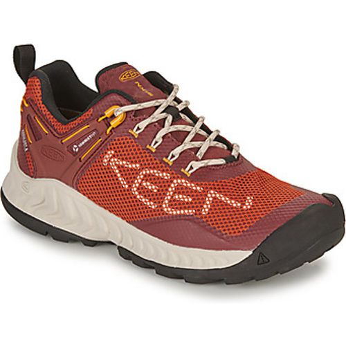 Keen Herrenschuhe NXIS EVO WP - Keen - Modalova