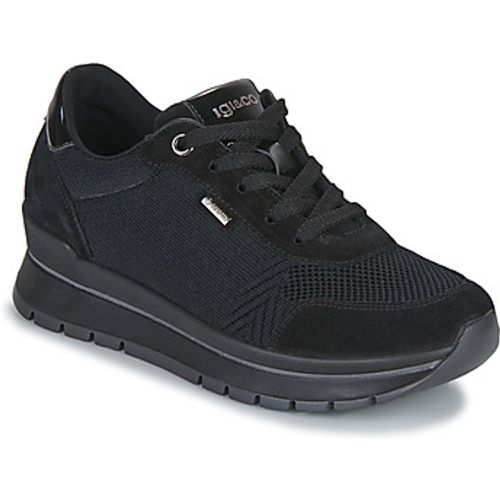 IgI&CO Sneaker DONNA ANIKA GTX - IGI&Co - Modalova