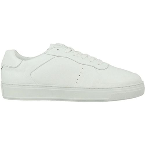 Azzaro Sneaker PROPICE - Azzaro - Modalova