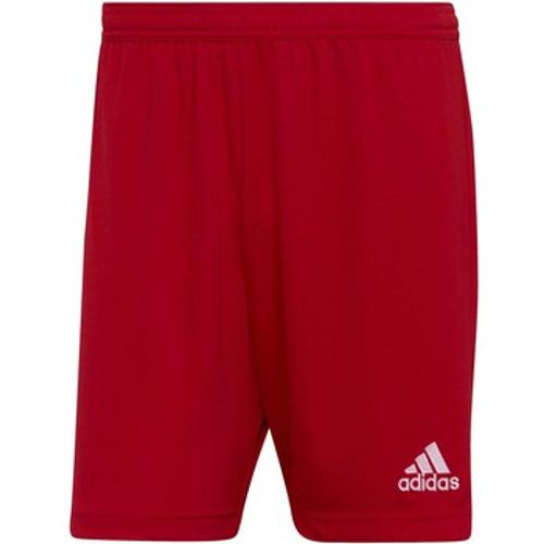 Adidas Shorts - Adidas - Modalova