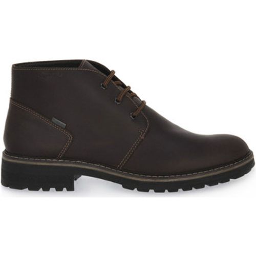 IgI&CO Stiefel FREDDY CAFFE - IGI&Co - Modalova