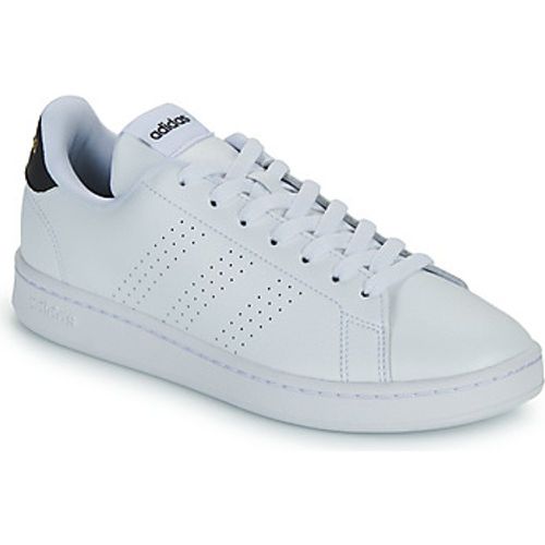 Adidas Sneaker ADVANTAGE - Adidas - Modalova