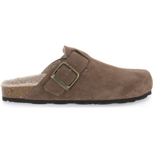 Grunland Schuhe TAUPE 70SARA - Grunland - Modalova