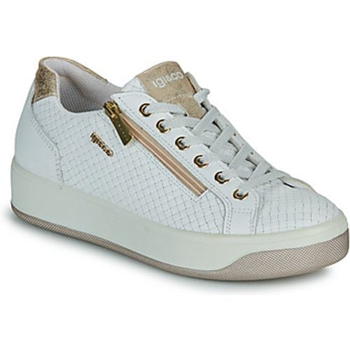 IgI&CO Sneaker 5658100 - IGI&Co - Modalova