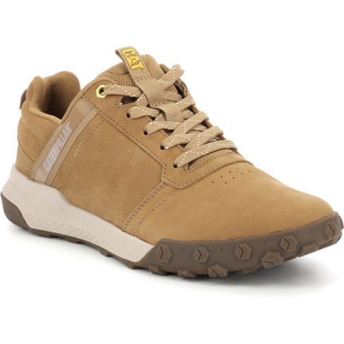 Caterpillar Sneaker Hex Ready Low - Caterpillar - Modalova