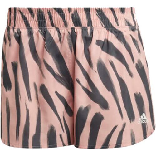 Adidas Shorts HB9336 - Adidas - Modalova