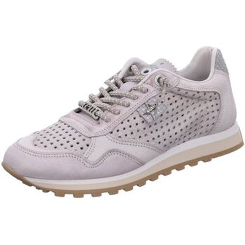 Cetti Sneaker C-848-SRA-caliza - Cetti - Modalova