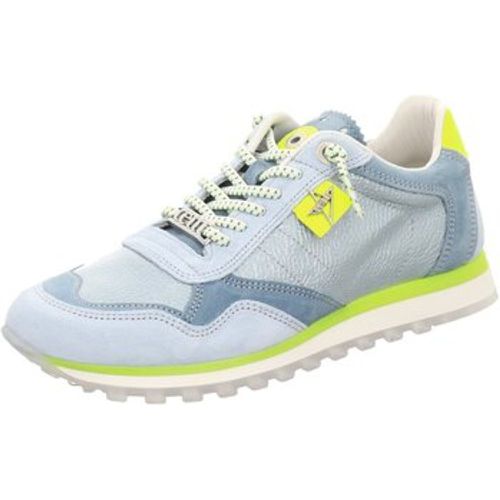 Cetti Sneaker C-848-SRA-jeans - Cetti - Modalova