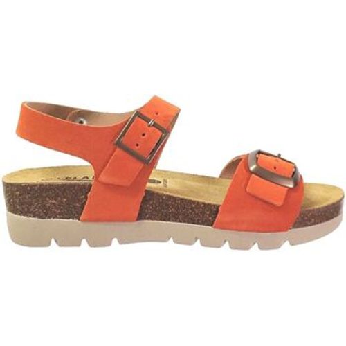 Plakton Sandalen Cool - Plakton - Modalova