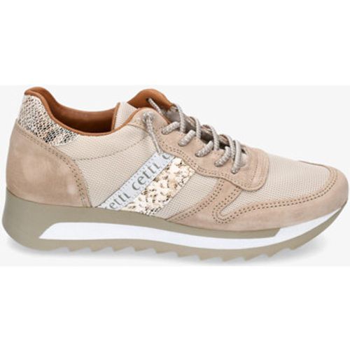 Cetti Sneaker C-847 SRA - Cetti - Modalova