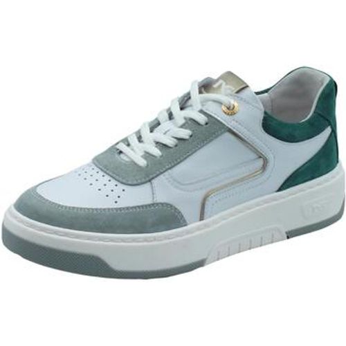 Sneaker E409992D Velour Asparago Skipper - NeroGiardini - Modalova