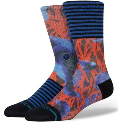 Stance Socken A556A24JUA - Stance - Modalova