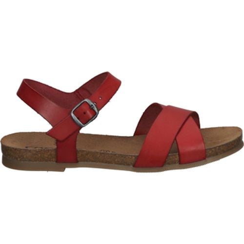 Cosmos Comfort Sandalen Sandalen - Cosmos Comfort - Modalova