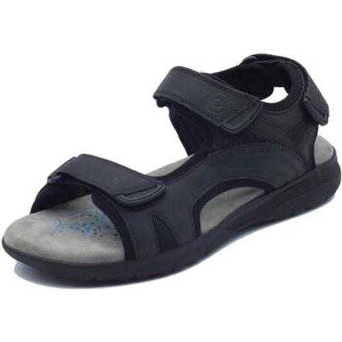 Geox Sandalen U25ELA Spherica - Geox - Modalova