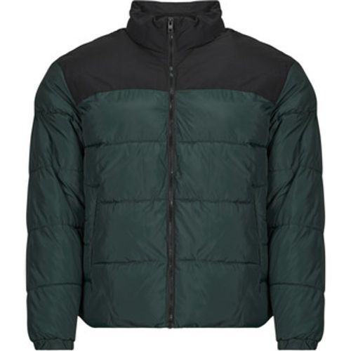 Jack & Jones Daunenjacken JJMOON - jack & jones - Modalova