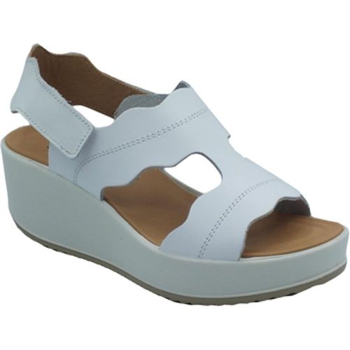 IgI&CO Sandalen 5668411 Vitello - IGI&Co - Modalova