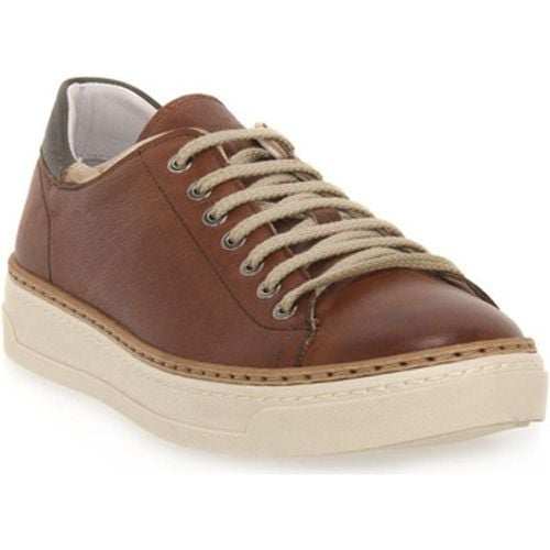 Exton Sneaker SIENA ENNA - Exton - Modalova