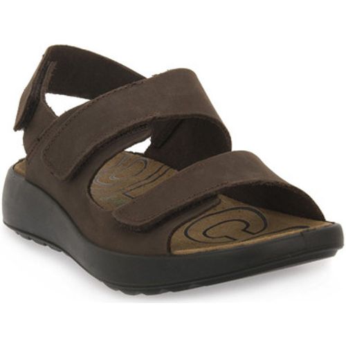 IgI&CO Sandalen PALMER MORO - IGI&Co - Modalova