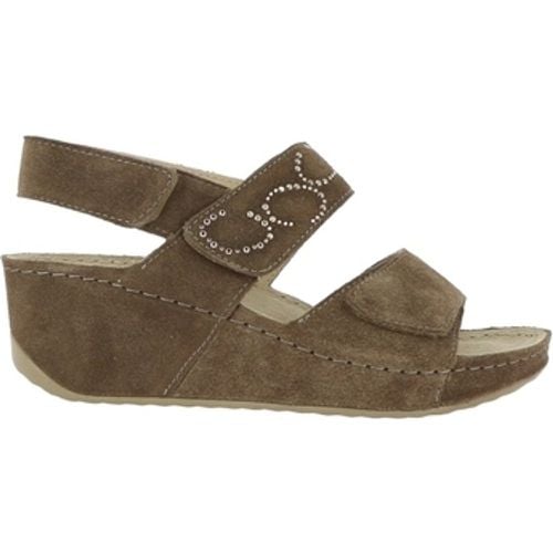 Scholl Sandalen ABERDEEN WEDGE - Scholl - Modalova