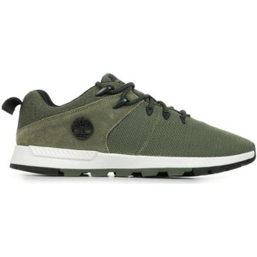 Sneaker Sprint Trekker Low Lace Up - Timberland - Modalova