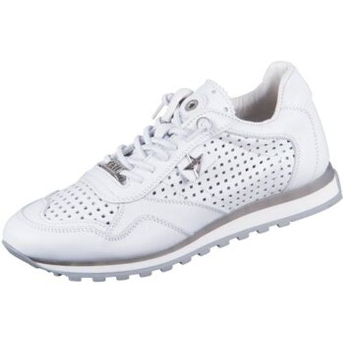 Cetti Sneaker C848SRA-WHITE - Cetti - Modalova