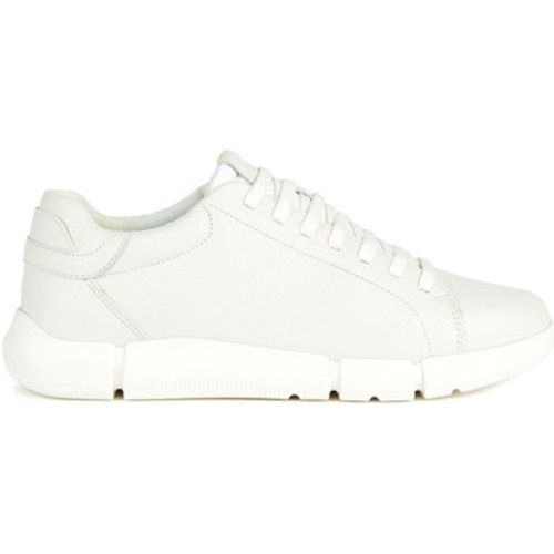 Sneaker U Adacter sneaker in pelle - Geox - Modalova