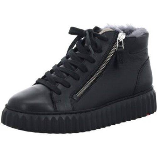 Lloyd Sneaker 23229-10 - Lloyd - Modalova