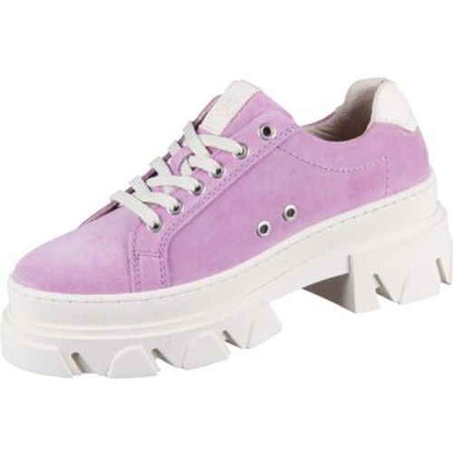 Halbschuhe Schnuerschuhe Shane 05 6870 purple suede 05 6870 - Post Xchange - Modalova