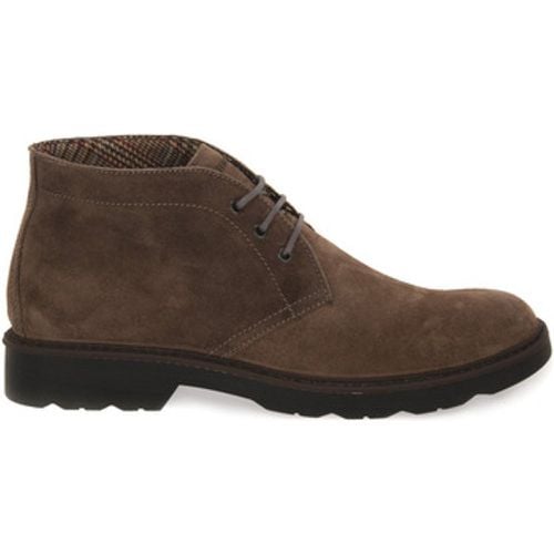 IgI&CO Stiefel CELSON TAUPE - IGI&Co - Modalova