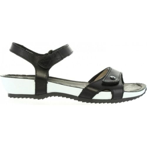 Panama Jack Sandalen DANIA BW B1 - Panama Jack - Modalova