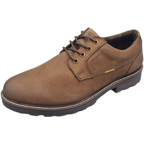 Halbschuhe Schnuerschuhe 53FWA03 - camel active - Modalova