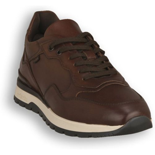 Sneaker NERO GIARDINI 412 DELAVATO - NeroGiardini - Modalova