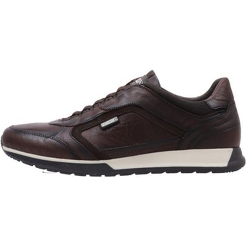 Sneaker CAMBIL M5N-6247C1 - Pikolinos - Modalova