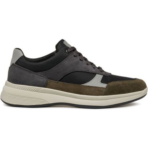 Sneaker U Spherica ECUB-3 sneaker - Geox - Modalova