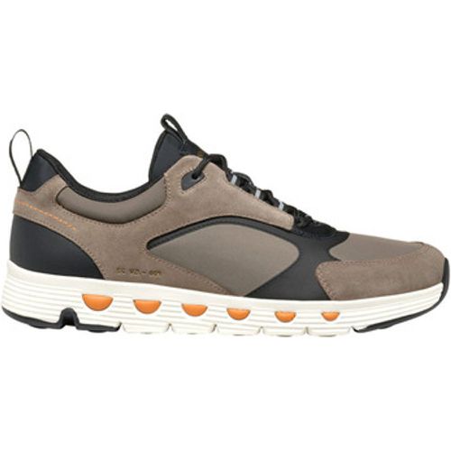 Sneaker U Spherica Ecub-4 sneaker - Geox - Modalova