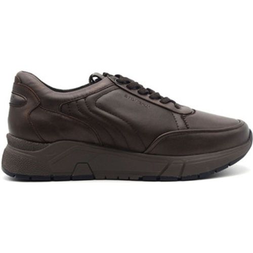 Sneaker Action 32 sneaker in nappa - Stonefly - Modalova