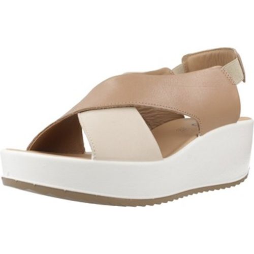 IgI&CO Sandalen 7665722IG - IGI&Co - Modalova