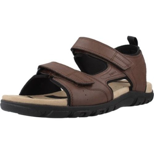 Geox Sandalen UOMO SANDAL STRADA - Geox - Modalova