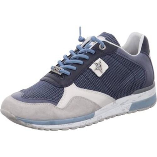 Halbschuhe Schnuerschuhe C 848 ANTE GRID NAVY C 848 ANTE GRID NAVY - Cetti - Modalova