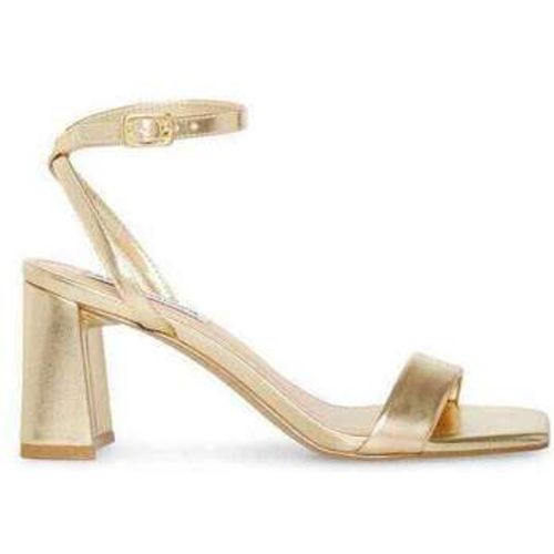 Steve Madden Sandalen - Steve Madden - Modalova